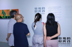 刘蓂个展“特殊的黄昏“北京开幕——一场探寻线索的实验